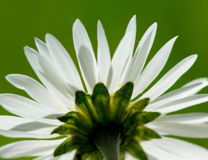 Антистресс - Пансионат «Солнечный» Николаевка