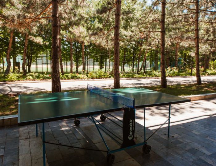 Теннисный стол - Пансионат «Солнечный» Николаевка